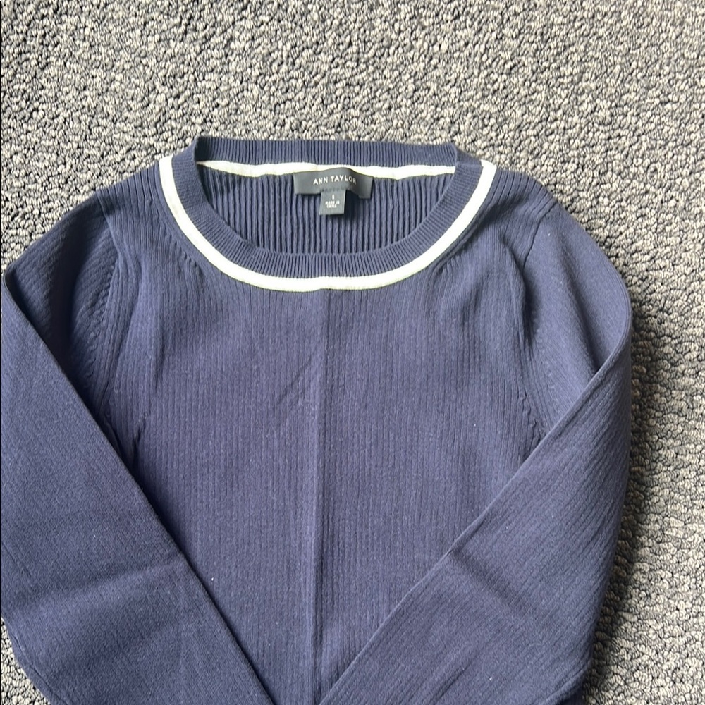 Ann Taylor Navy Sweater